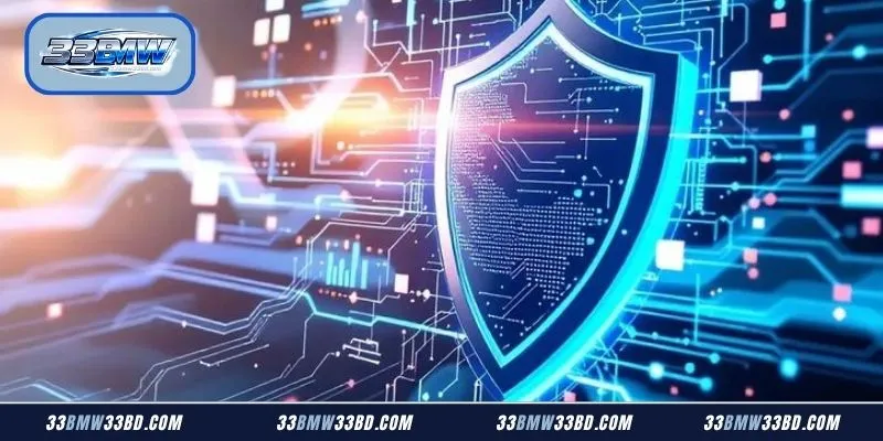 Overview of data collection protocols inside the 33BMW Privacy Policy framework